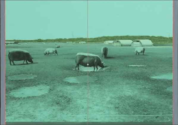 نمایش نقاشی‌های جان استارک در لندن