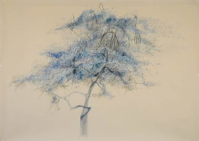 آثار آویش خبره زاده