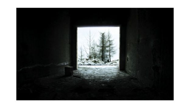 عکس‌های عباس کیارستمی در نمایشگاه چهار فصل